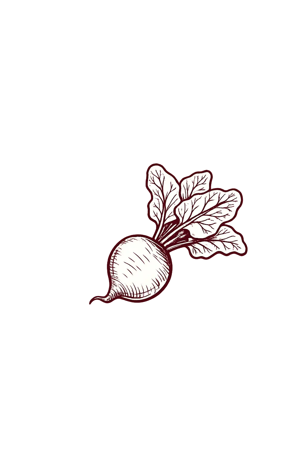 Remolacha