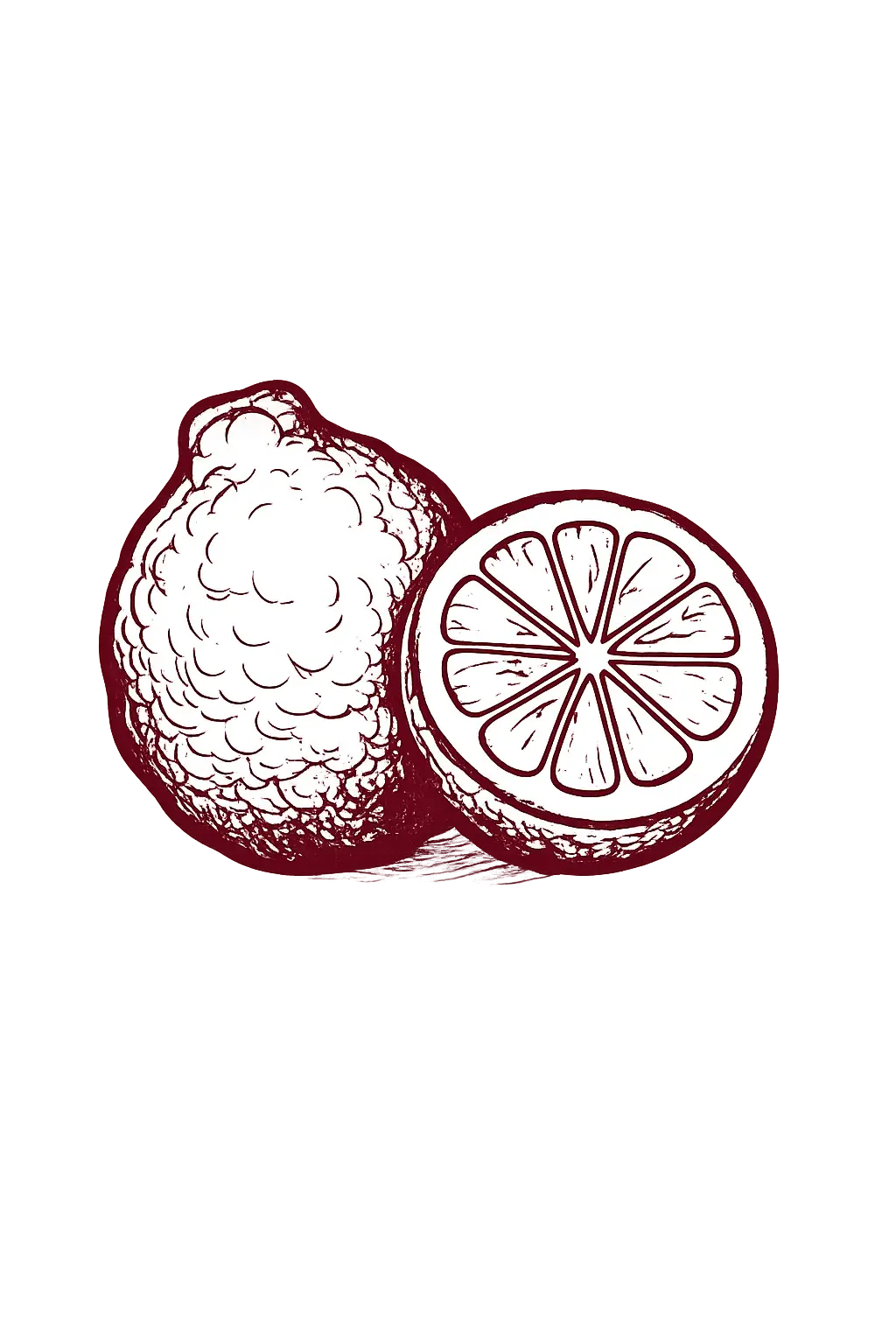 Bergamota